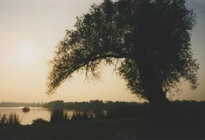 Foto im Vollbild