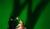 Hintergrund