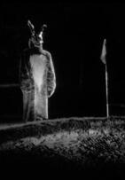 Foto im Vollbild