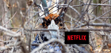 Bild zu: Der Kristallkuckuck Bild zu: Der Kristallkuckuck