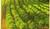 Hintergrund