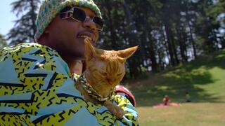 Staffel 1 von Cat People