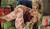 Hintergrund