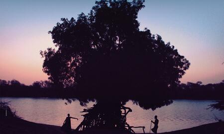 Galerie Foto