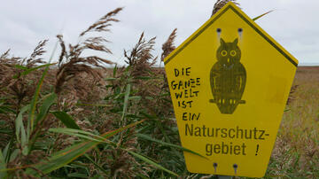 Foto im Vollbild
