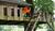 Hintergrund