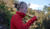 Hintergrund