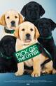 Pick of the Litter