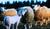 Hintergrund