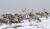 Hintergrund