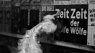 Foto im Vollbild