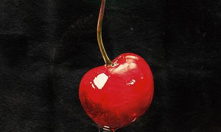 Galerie Foto