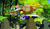 Hintergrund