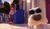 Hintergrund