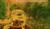 Hintergrund
