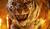 Hintergrund