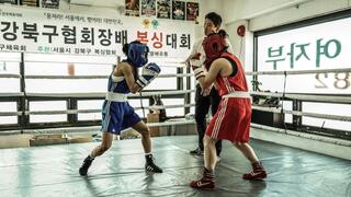 Fighter