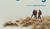 Hintergrund