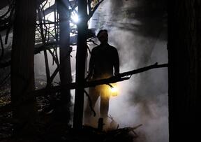 Foto im Vollbild