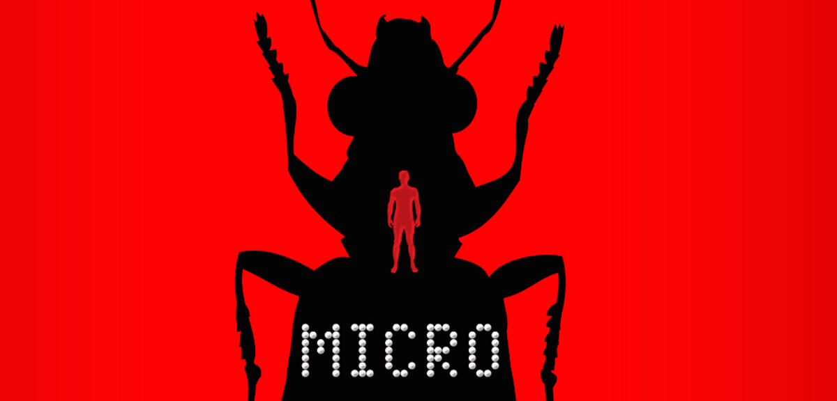 Micro