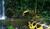 Hintergrund