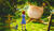 Hintergrund
