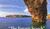 Hintergrund