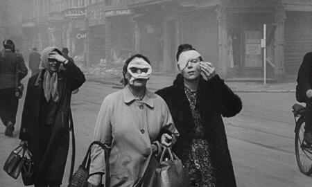 Galerie Foto