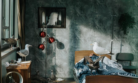 Galerie Foto