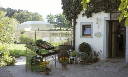 Galerie Foto