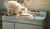 Hintergrund