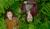 Hintergrund