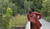 Hintergrund