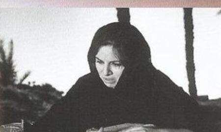 Galerie Foto