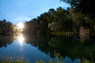 Foto im Vollbild