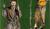 Hintergrund