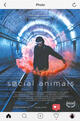 Social Animals