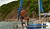 Hintergrund