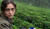 Hintergrund