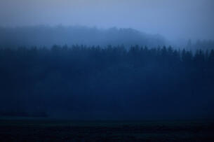 Foto im Vollbild
