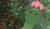 Hintergrund