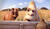 Hintergrund