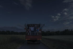 Foto im Vollbild