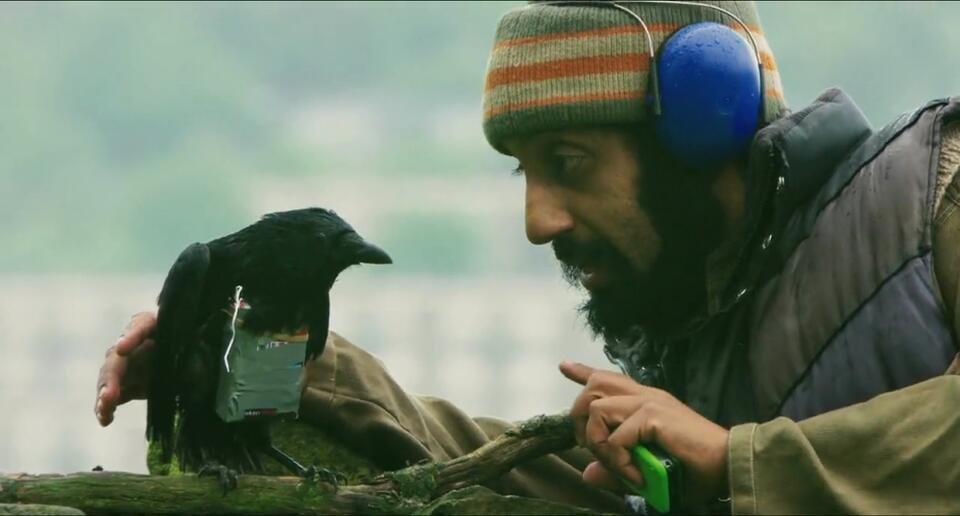Four Lions Film 2010 Moviepilot