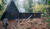 Hintergrund