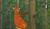 Hintergrund