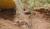 Hintergrund