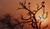 Hintergrund