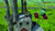 Hintergrund