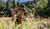 Hintergrund
